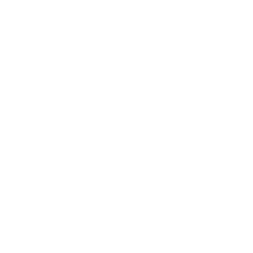 Modelling the Mind
